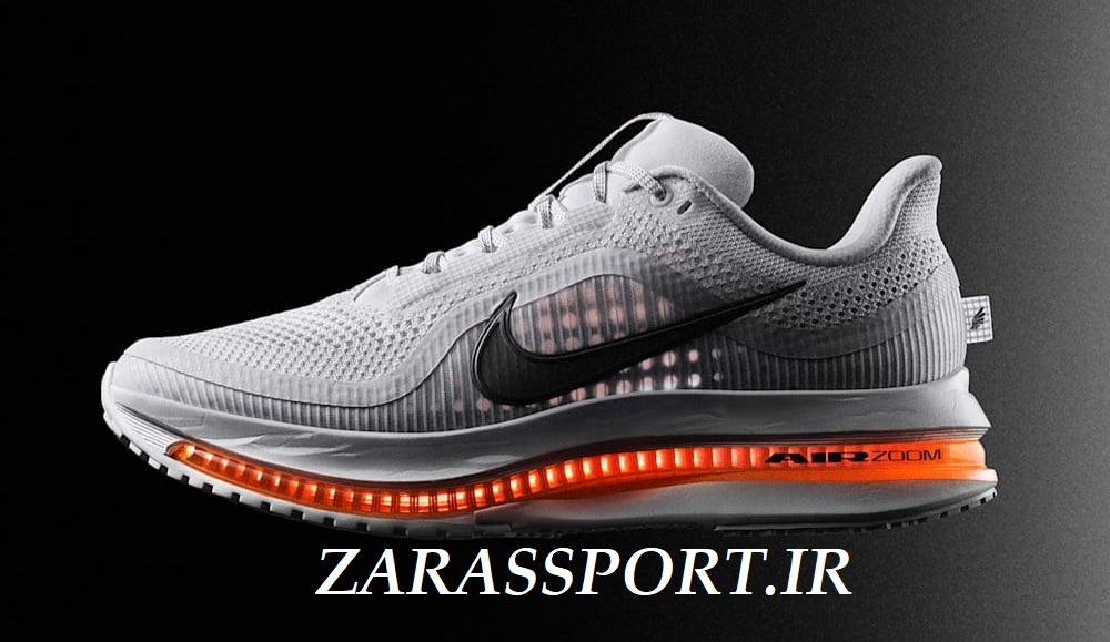 کفش نایک پگاسوس